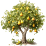 pear.png